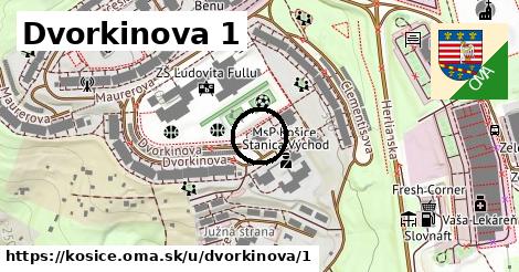 Dvorkinova 1, Košice