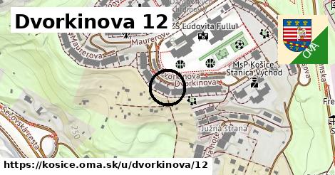 Dvorkinova 12, Košice