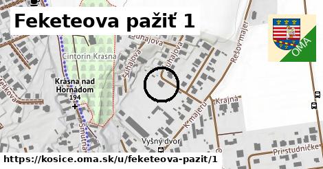 Feketeova pažiť 1, Košice
