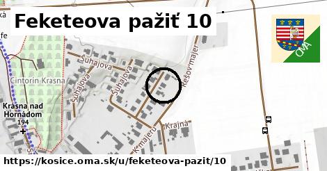 Feketeova pažiť 10, Košice