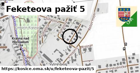 Feketeova pažiť 5, Košice