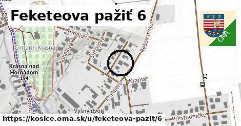 Feketeova pažiť 6, Košice