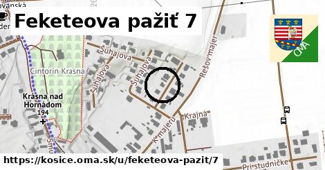 Feketeova pažiť 7, Košice