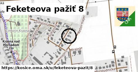 Feketeova pažiť 8, Košice