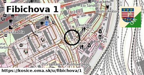 Fibichova 1, Košice