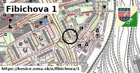 Fibichova 1, Košice