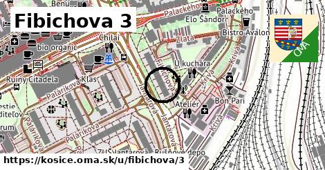 Fibichova 3, Košice