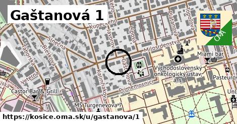 Gaštanová 1, Košice