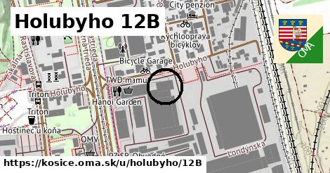 Holubyho 12B, Košice