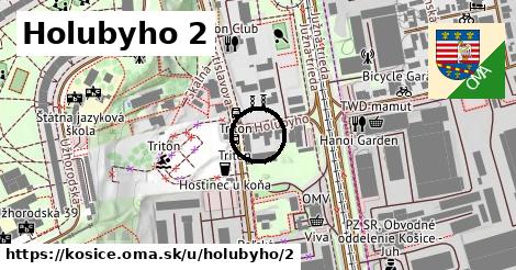 Holubyho 2, Košice