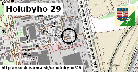 Holubyho 29, Košice