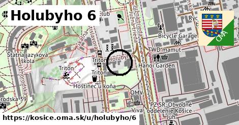 Holubyho 6, Košice