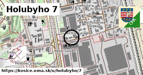 Holubyho 7, Košice