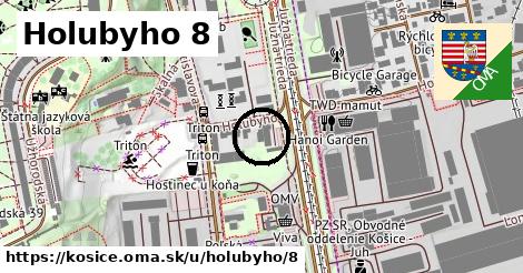 Holubyho 8, Košice