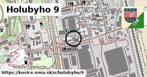 Holubyho 9, Košice