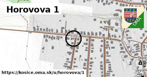 Horovova 1, Košice