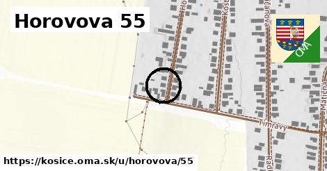 Horovova 55, Košice