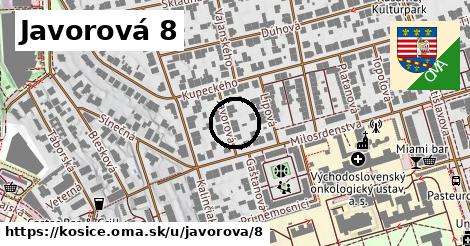 Javorová 8, Košice