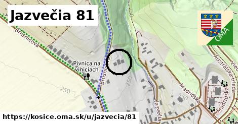 Jazvečia 81, Košice