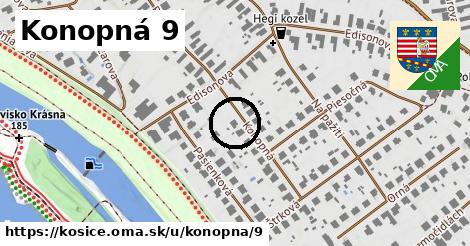 Konopná 9, Košice