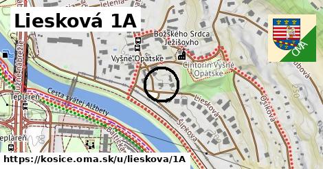 Liesková 1A, Košice