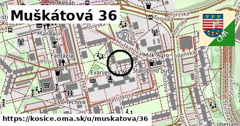 Muškátová 36, Košice