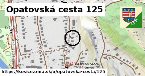 Opatovská cesta 125, Košice