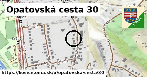 Opatovská cesta 30, Košice