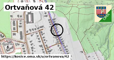 Ortvaňová 42, Košice