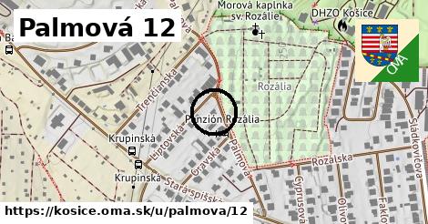 Palmová 12, Košice