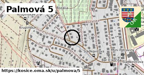 Palmová 5, Košice