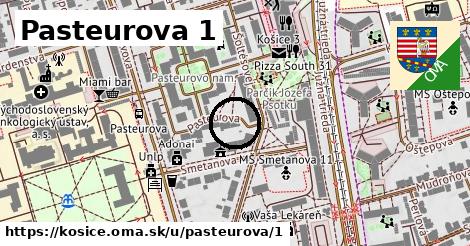 Pasteurova 1, Košice