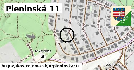 Pieninská 11, Košice