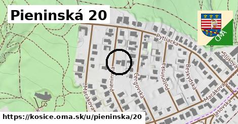 Pieninská 20, Košice