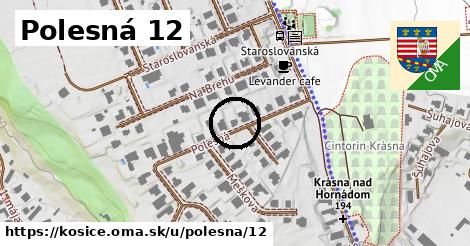 Polesná 12, Košice