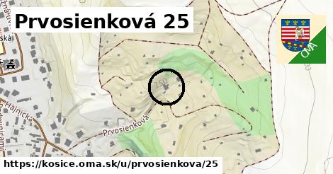 Prvosienková 25, Košice