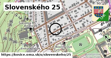 Slovenského 25, Košice