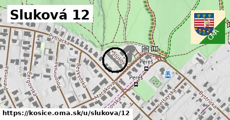 Sluková 12, Košice