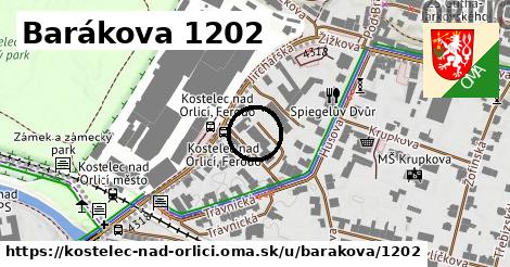 Barákova 1202, Kostelec nad Orlicí