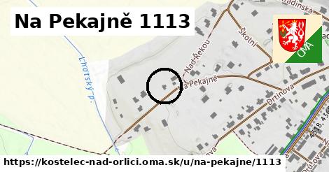 Na Pekajně 1113, Kostelec nad Orlicí