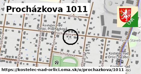 Procházkova 1011, Kostelec nad Orlicí