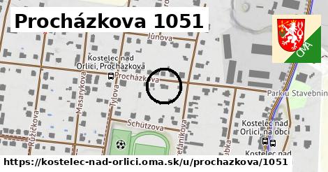 Procházkova 1051, Kostelec nad Orlicí