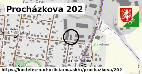 Procházkova 202, Kostelec nad Orlicí