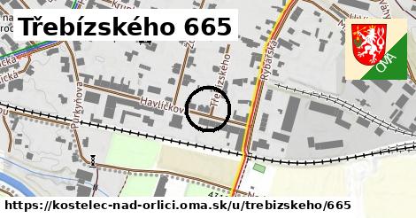 Třebízského 665, Kostelec nad Orlicí