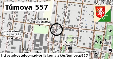 Tůmova 557, Kostelec nad Orlicí