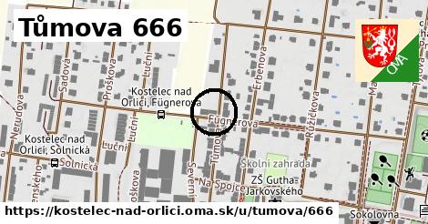 Tůmova 666, Kostelec nad Orlicí