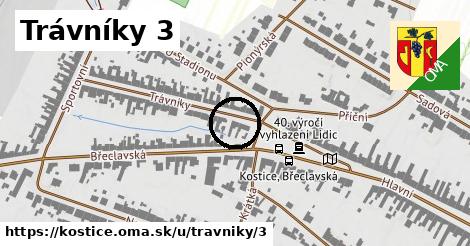 Trávníky 3, Kostice