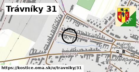 Trávníky 31, Kostice