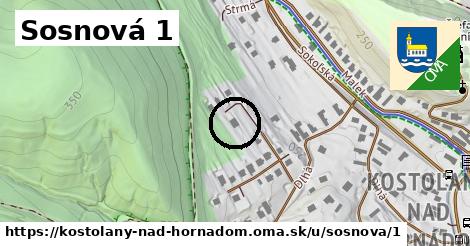 Sosnová 1, Kostoľany nad Hornádom