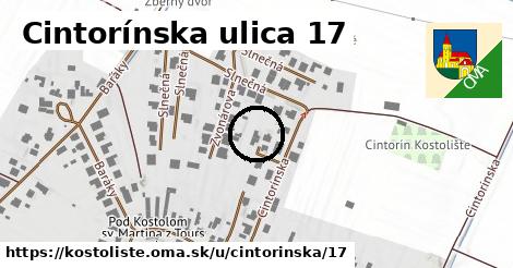 Cintorínska ulica 17, Kostolište